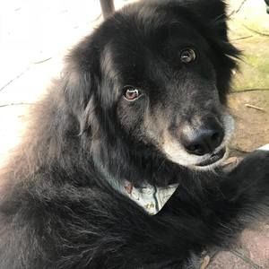 Meet your Posher, Leighann